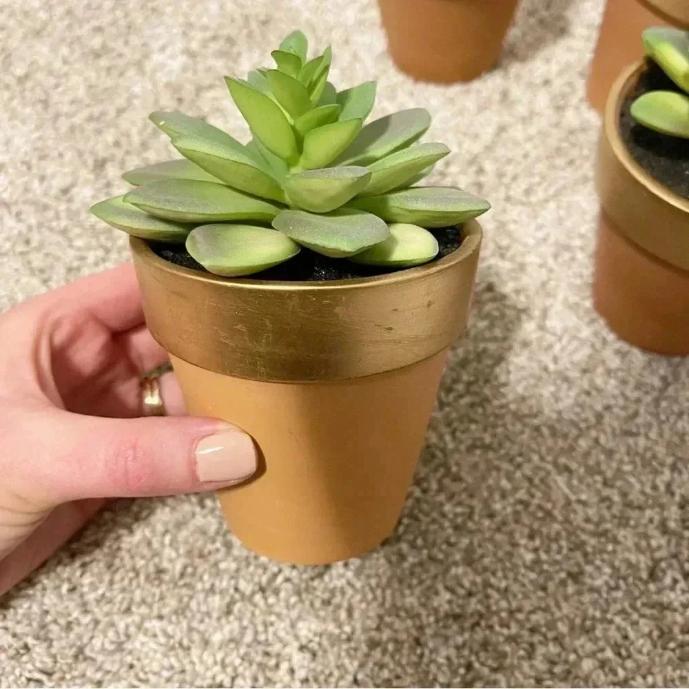 Set of 3 terracotta faux succulents new